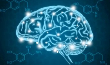 Depresyon hakkında bütün bildiklerimiz yanlış mı? Yeni bulgular nasıl okunmalı?