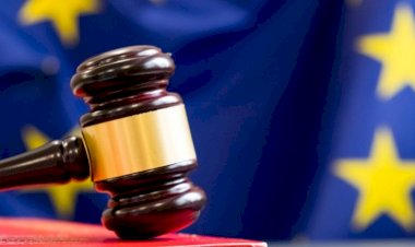 Diyarbakır Barosu başvurdu, Avrupa Konseyi iç tüzüğünü değiştirdi: Etkin bir izleme yapılacak