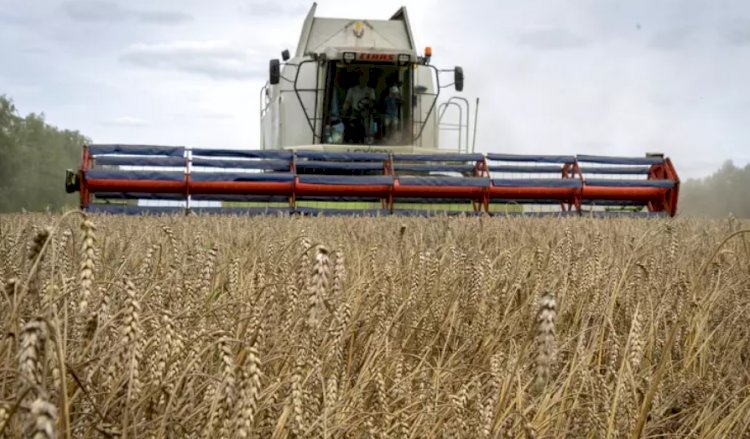 Ukrayna: Tahıl ihracatı geçen seneye oranla yarı yarıya düştü