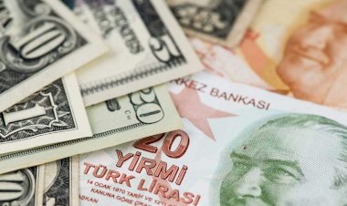 Fitch'ten TL için karamsar tahmin: Türkiye'de işler kötüye gidiyor