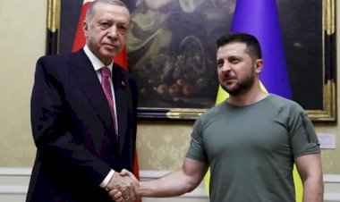 Erdoğan, Zelenskiy ile 'esir değişimi'ni görüştü