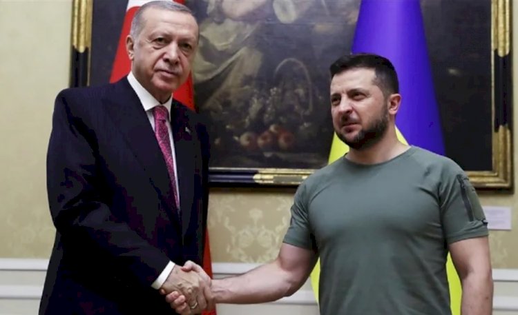 Erdoğan, Zelenskiy ile 'esir değişimi'ni görüştü