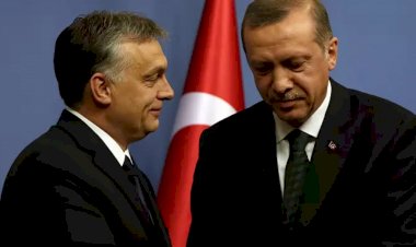 Finlandiya ve İsveç'in NATO üyeliğinin önünde iki engel kaldı: Macaristan ve Türkiye