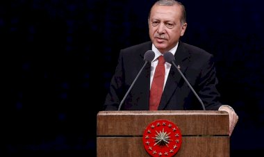 Başkan Erdoğan'ın elindeki sihirli değnek!