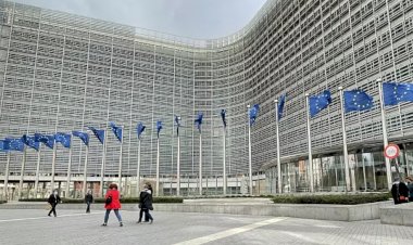 Ukrayna krizi, Avrupa’da siyasi dengeleri ne kadar değiştirdi? Paris ve Berlin arasında sorun ne?