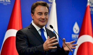 Babacan'dan Fincancı tepkisi