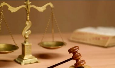 Tutuklanan TTB Başkanı Fincancı'nın sözleri 'ifade özgürlüğü' kapsamına girer mi? 