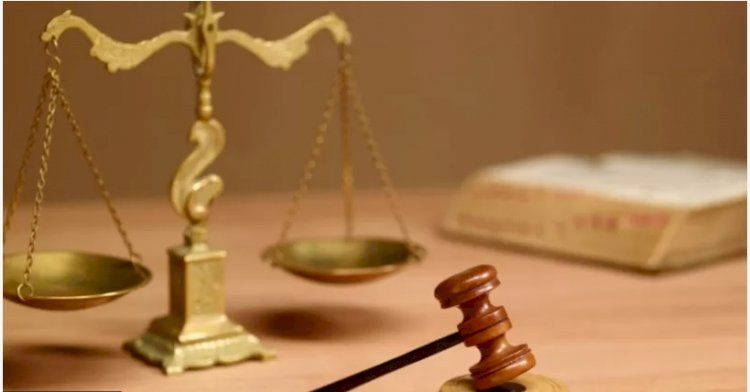 Tutuklanan TTB Başkanı Fincancı'nın sözleri 'ifade özgürlüğü' kapsamına girer mi? 