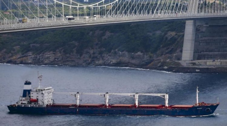 Ukrayna ve Türkiye ile 14 geminin hareketi için anlaşma sağlandı