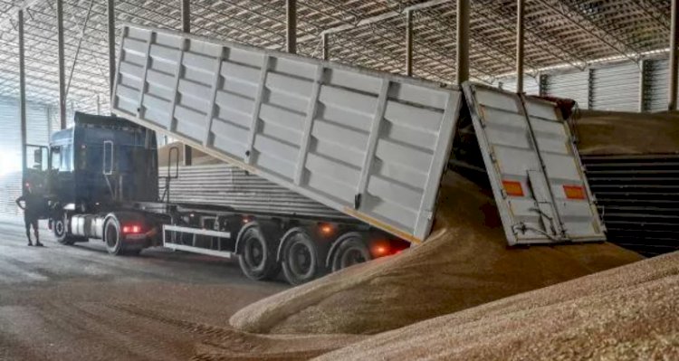 Rusya'nın Tahıl Koridoru Anlaşması'nı askıya alması sonrası gıda fiyatları arttı