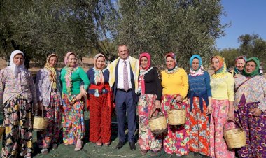 AYVALIK’TA ZEYTİN HASAT FESTİVALİ BAŞLADI