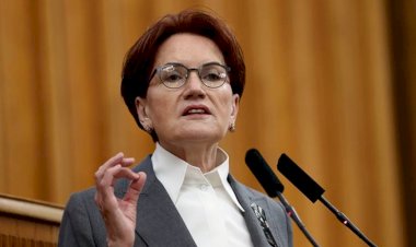 Akşener'den Erdoğan'ın çağrısına yanıt