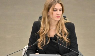 AP Başkan Yardımcısı yolsuzluk suçlamasıyla gözaltında