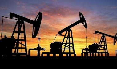 Almanya'dan Rus petrolü iddialarına ret