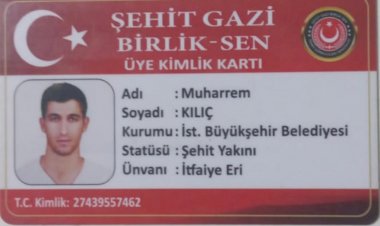 Soylu 'PKK'nın dağ kadrosunda' dedi, şehit kardeşi çıktı