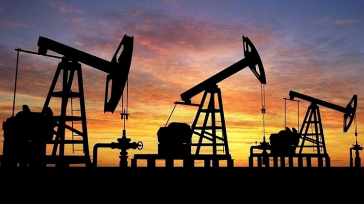 Almanya'dan Rus petrolü iddialarına ret