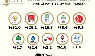 Saray'da uykusuz geceleri başlatacak anket. "Aman reis duymasın" sesleri