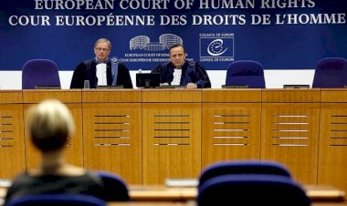 AİHM, Gezi olaylarının sembolü Berkin Elvan’ın ailesinin şikayetinde Türkiye’yi mahkum etti