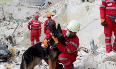 Depremin 226. Saatinde Gelen Kurtuluş Mucizesi