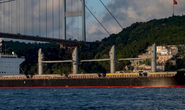 Ukrayna tahıl anlaşması için Türkiye ve BM'ye başvuracak