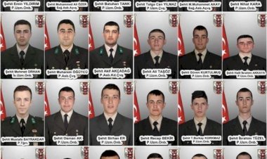 Hain saldırının 3. yılı: Rusya, 36 Türk askerini şehit etmişti