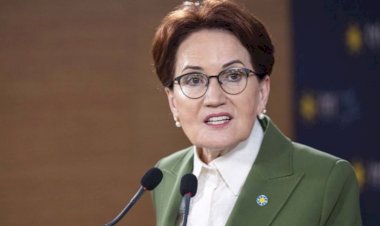 Siyaset Bilimci Prof. Dr. Tanju Tosun: Akşener sonunda siyasal köklerine uygun davranmayı seçti