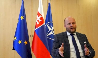 Slovakya Savunma Bakanı: Ukrayna’ya MiG-29 gönderme konusunda karar verme zamanı geldi
