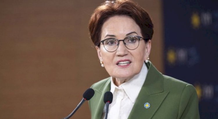 Siyaset Bilimci Prof. Dr. Tanju Tosun: Akşener sonunda siyasal köklerine uygun davranmayı seçti
