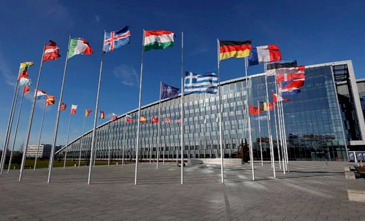 Finlandiya Cumhurbaşkanı: Türkiye NATO üyeliğimizin onaylanması konusunda karar verdi
