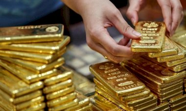 Merkez Bankası 1 yılda 161 ton altın aldı