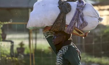 BM Dünya Gıda Programı: Sudan'daki çatışma milyonlarca kişiyi açlığa itebilir
