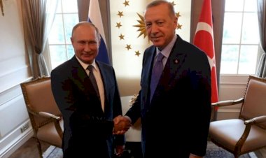 Rusya'daki Erdoğan ihtimalini canlı yayında açıkladı