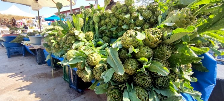 Urla Enginarı tüm kalbiyle sizi çağırıyor