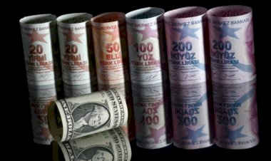 Reuters: "Türk Lirası'nın değer kaybı sürüyor"