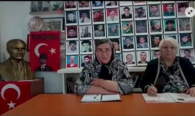 Şehit Anaları Derneği Başkanı Akbaba: Alın annenizi, sandığa gelin