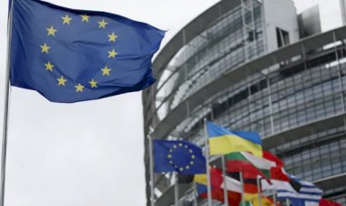 Avrupalı milletvekilleri, Macaristan'ın AB dönem başkanlığına şüpheyle yaklaşıyor