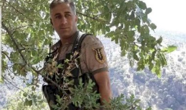 Şırnak'tan acı haber: Aracında şehit ettiler!