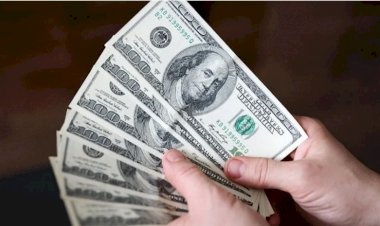 Türk Lirası’nın günlük değer kaybı yüzde 7’yi aştı, dolar/TL 23,16'yı gördü