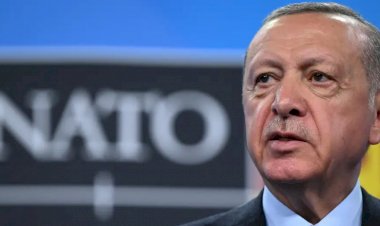 İsveç onayı: Türkiye ne kazandı? Ne kazanamadı?