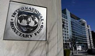 Tek çözüm IMF kaldı