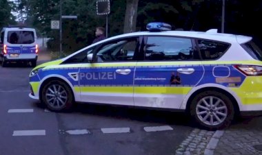 Berlin'de başıboş aslan paniği
