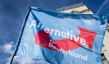 İsrailli Eski Büyükelçi'den Almanya'ya AfD uyarısı