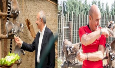 Yerel Seçimlerde İzmir'i kim kazanacak?