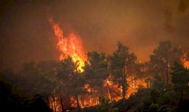 Yunanistan'da orman yangınları: Rodos'ta binlerce kişi tahliye edildi
