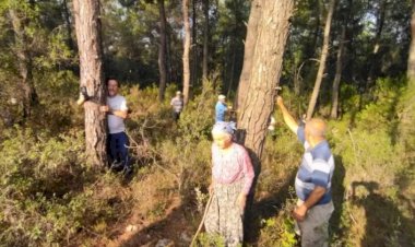 Akbelen Ormanı: Kesimin üçüncü gününde köylüler alana girdi, jandarma müdahale etti