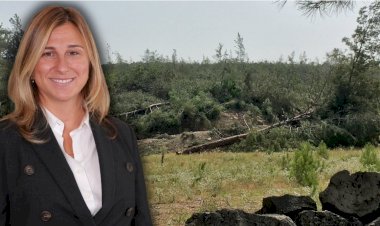 Akbelen'i yok eden şirketin başkanı 'çevreci' çıktı