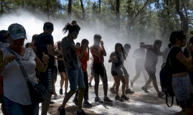 Uluslararası çevre kuruluşlarından Akbelen için ortak çağrı