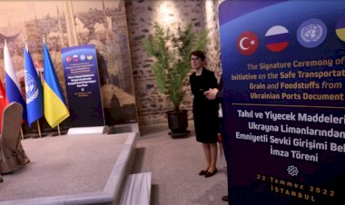 Buğday fiyatları Türkiye'yi nasıl etkileyecek?