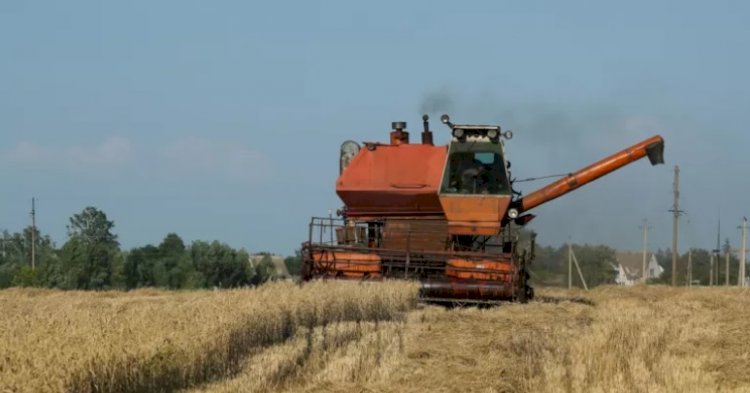 Rusya’nın tahıl anlaşmasından çekilmesinin ardından yükselen fiyatlar tehlike arz ediyor