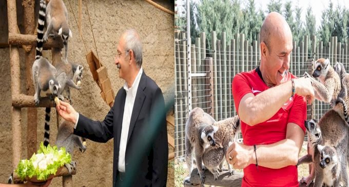 Yerel Seçimlerde İzmir'i kim kazanacak?